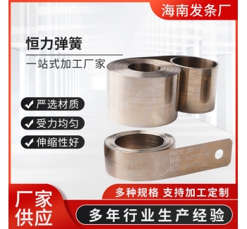 廠家生產(chǎn)恒力彈簧系列吸塵器卷線器卷簧保險(xiǎn)帶收卷簧