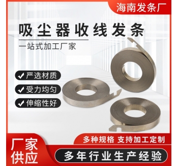 廠家供應吸塵器收線發條彈簧 不銹鋼五金彈簧發條