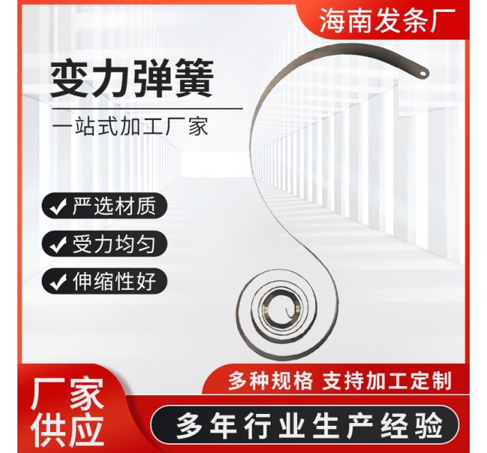 廠家供應 變力彈簧 不銹鋼發條弾簹 鋼帶平面泯卷卷筺定力