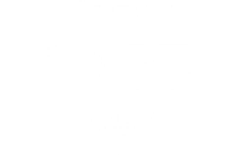 首板模具 質量共管